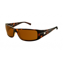 Ray Ban RB4057 Sunglasses Havana Frame Crystal Brown