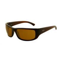 Ray Ban RB4176 Sunglasses Brown Frame Deep Brown Lens