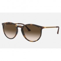 Ray Ban Erika RB4274 Sunglasses + Tortoise Frame Brown  Lens