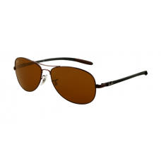 Ray Ban RB8301 Tech Sunglasses Brown Frame Brown Lens