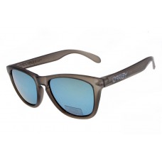 Oakley Frogskins sunglasses clear gray / ice iridium
